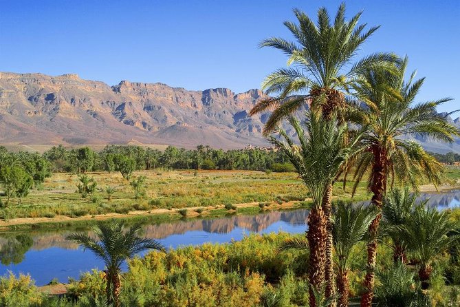 Desert Odyssey: a 2-Day Journey From Marrakech to Zagora - Camel Ride in the Desert