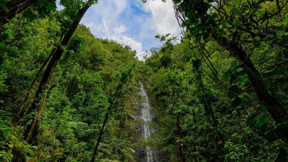 Diamond Head Manoa Falls - Pickup and Transportation