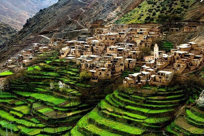 Discover Ourika Valley Differently in a Day Trip From Marrakech - Transport and Comfort