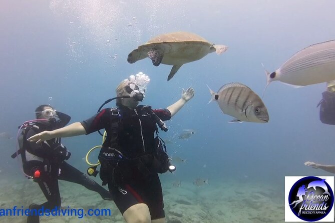 Discover Scuba Diving, Free Pictures Included - Confirmation and Requirements