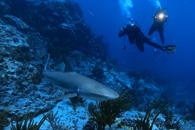 DiveCarib - An Eco-Friendly Certified Diver Trip in Antigua - Meeting and Schedule Details