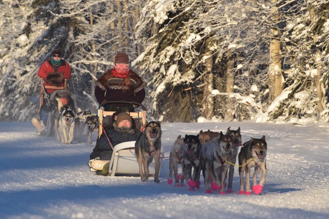 Dog Sledding and Mushing Experience in North Pole - Tour Details