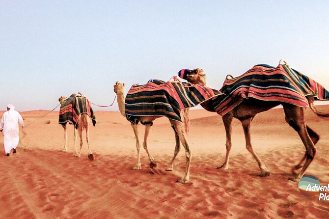 Dubai Full-Day Desert Safari Experience With Live BBQ Dinner - Traditional Bedouin Activities