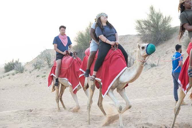 Dubai Half-Day Red Dunes Bashing With Sandboarding, Camel &Falcon - Pickup and Drop-off