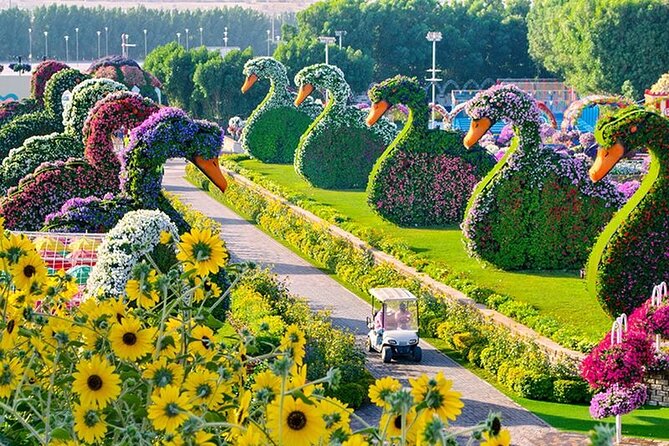 Dubai Miracle Garden Entry Tickets - Capturing Breathtaking Photographic Moments