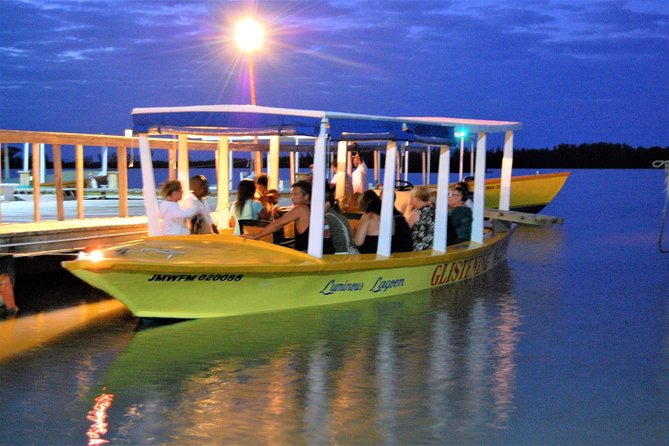 Dunns River Falls and Luminous Lagoon Guided Tour From Grand Palladium - Inclusions and Pricing