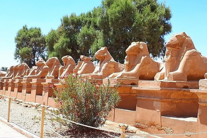 East Bank in Luxor Day Tour - Accessibility