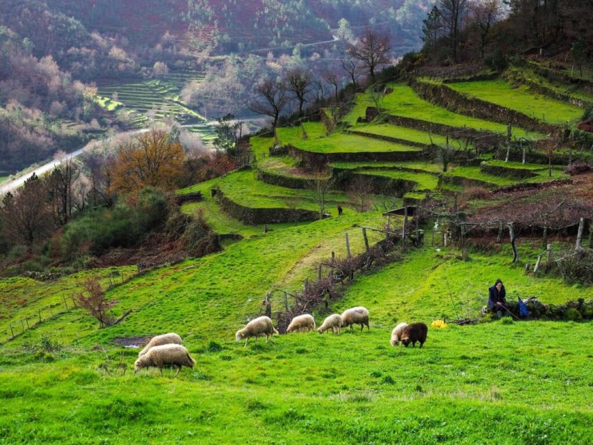 ECO Walking Tour Sistelo/Geres Walkways - Highlights