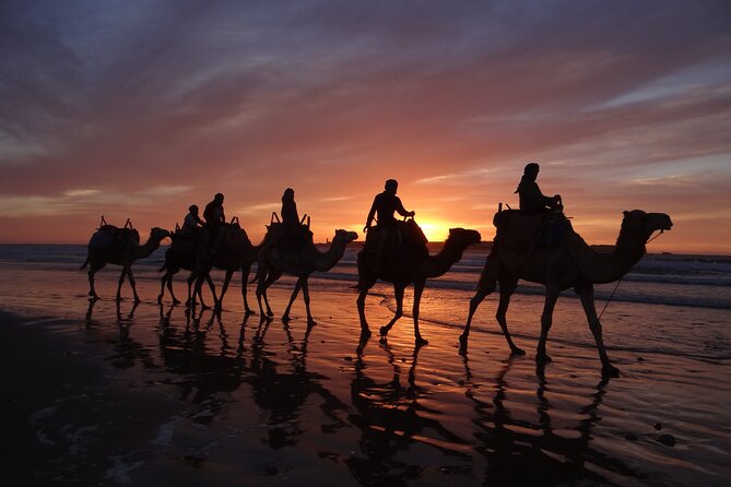 Essaouira 1 Hour Discovery Ride on the Back of a Camel - Suitability and Accessibility