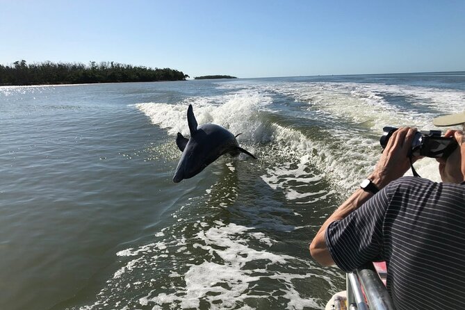 Everglades Day Safari From Ft Lauderdale - Itinerary and Activities