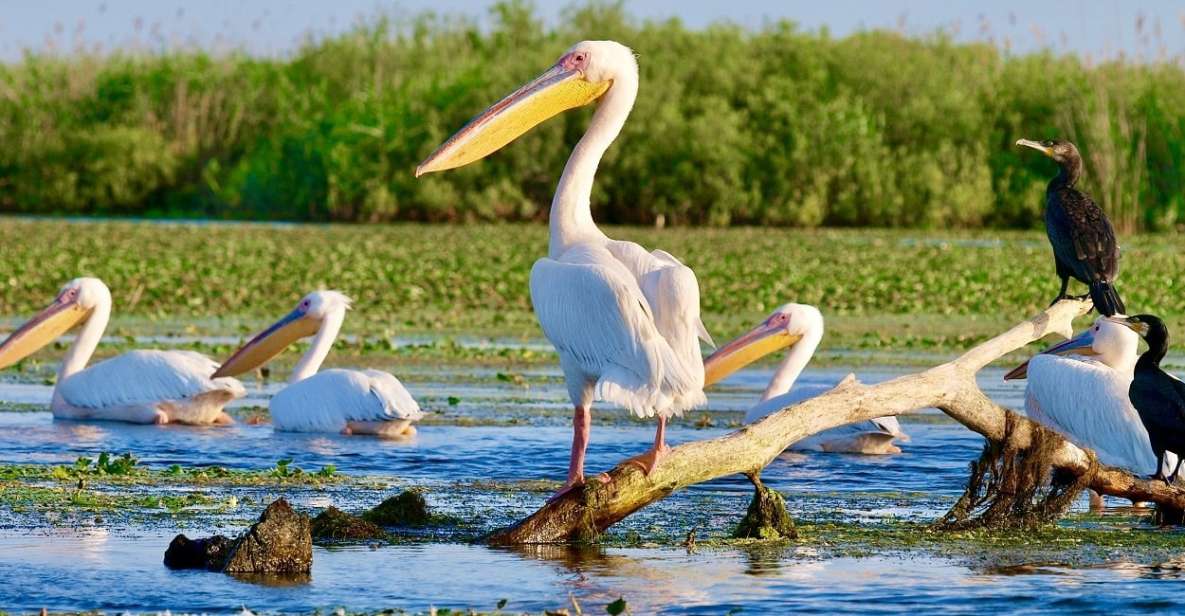 Explore Danube Delta and Black See in 2 Day Private Tour - Highlights and Attractions