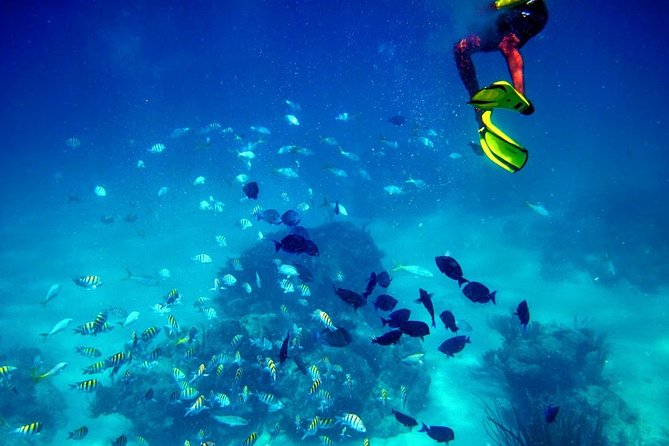 Fajardo Mini Boat Snorkel Safari - Meeting and Pickup