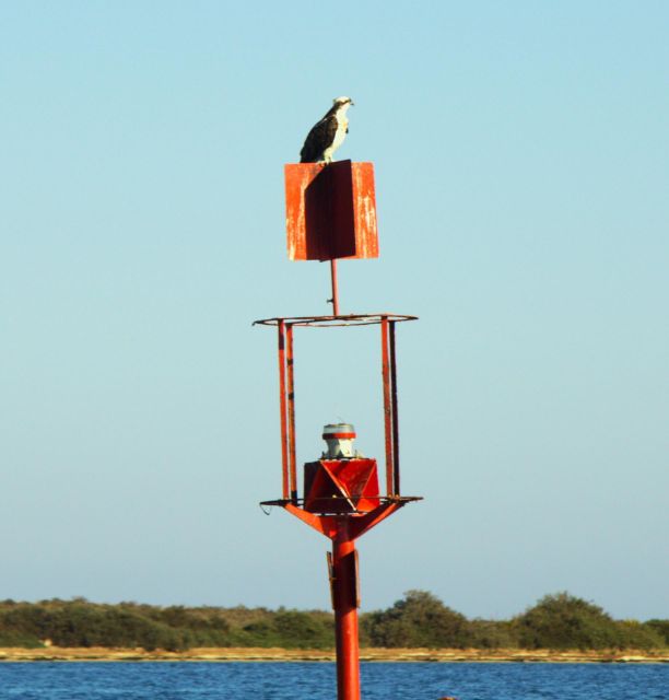 Faro: Real Pudding Boat Tours 6h Boat Tour to Ria Formosa - Itinerary and Experience