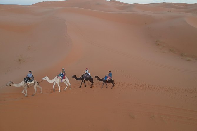 Fes Desert Tour 2 Days - Tour Inclusions