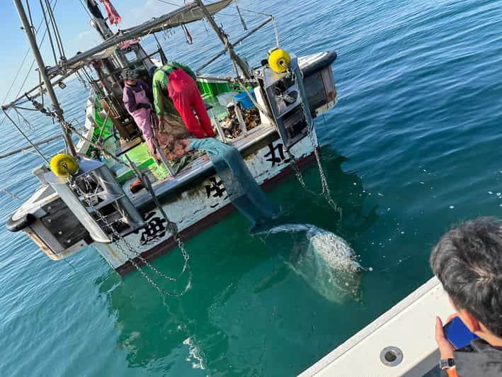 Fishing on a Fishing Boat & Bottom Trawl Tour - Activity and Location