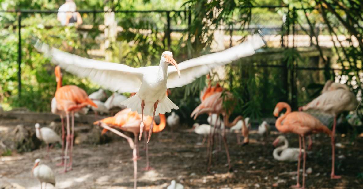 Fort Lauderdale: Flamingo Gardens Entry Ticket - Garden and Wildlife Overview