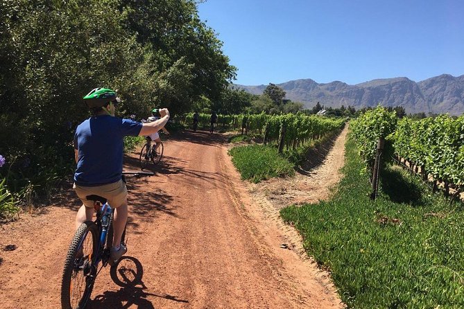 Franschhoek Cycle Experience Half Day - Private Tour - Health and Fitness