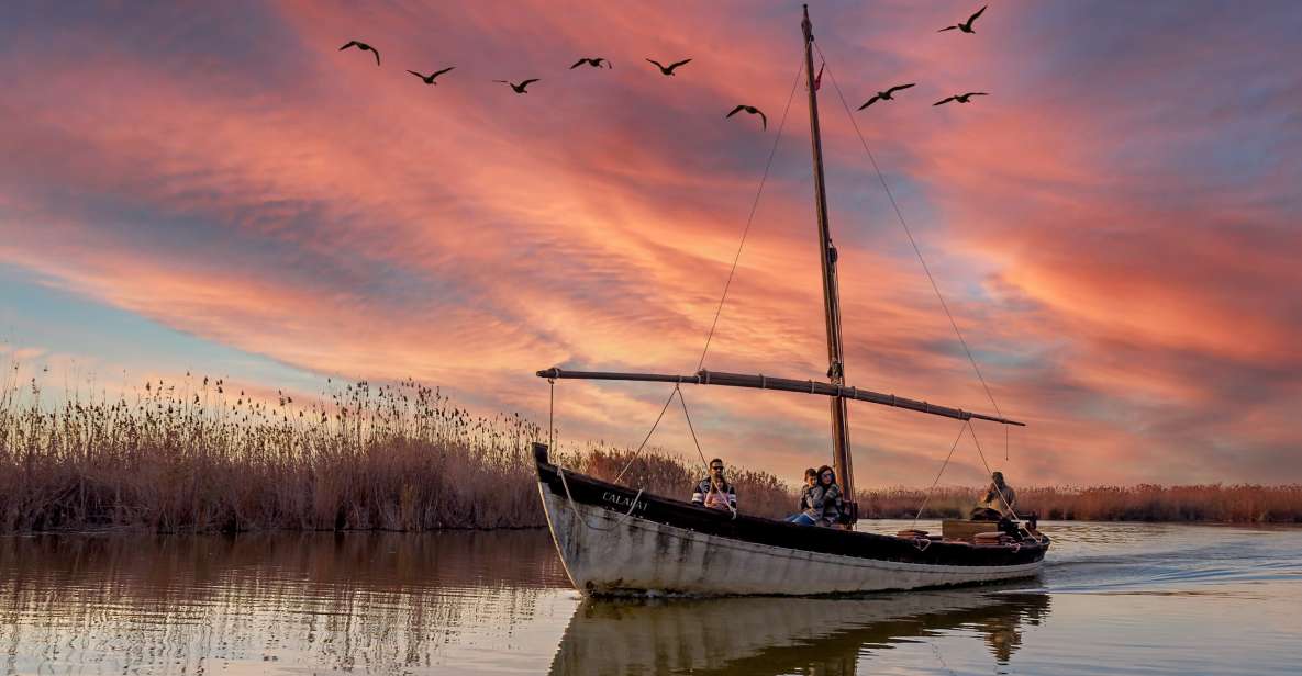 From Alicante: Cullera Old Town and Albufera Natural Park - Exploring Culleras Beaches and Scenery