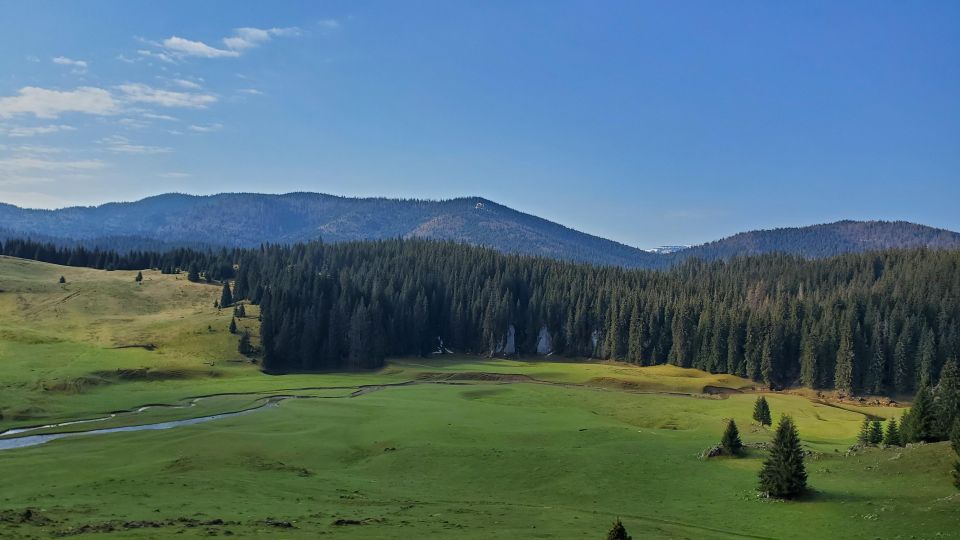 From Cluj-Napoca: Carpathian Mountains Guided Scenic Hike - Itinerary Details