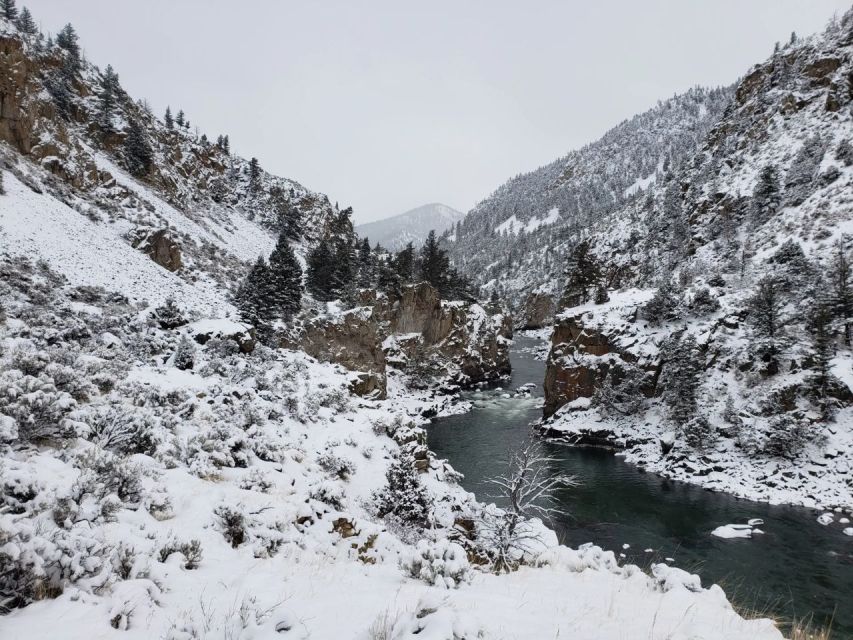 From Gardiner: Guided Yellowstone Cross-Country Skiing Tour - Inclusions and Highlights