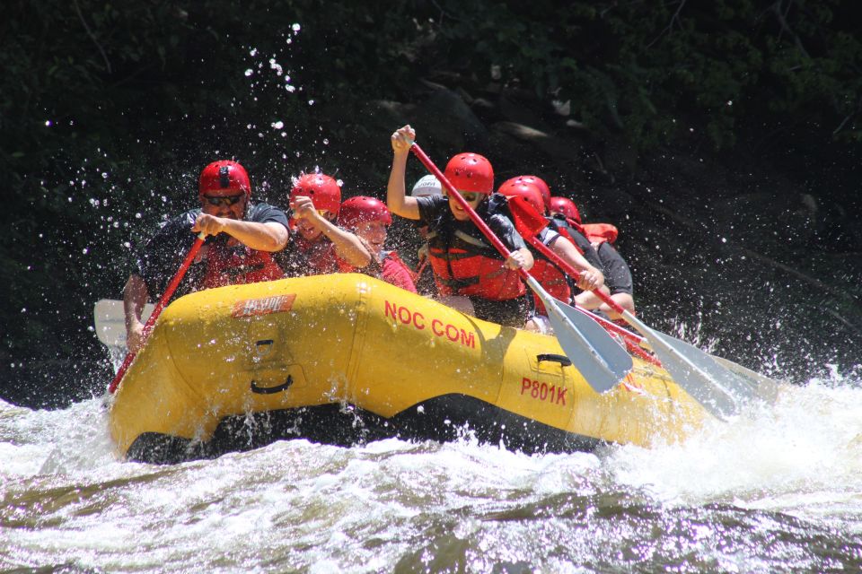 From Hartford: Upper Pigeon River White Water Rafting Tour - Experience Highlights