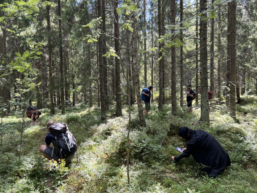 From Helsinki: Hike and Sauna in Sipoonkorpi National Park - Exploring the Taiga Forest Trails