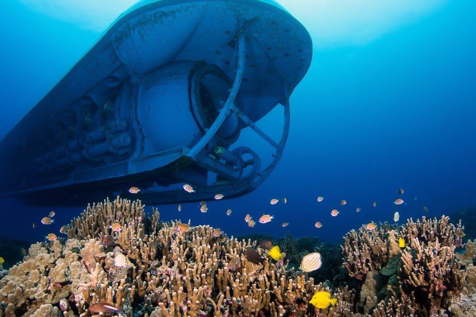 From Kona: Big Island Underwater Submarine Adventure - Descending 100+ Feet Underwater