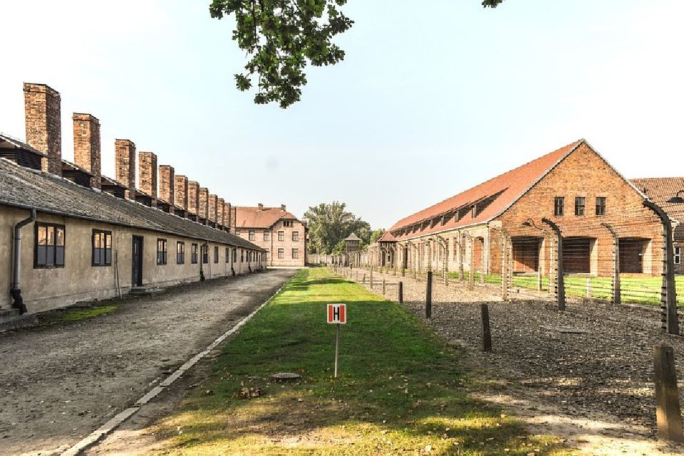 From Krakow: Auschwitz Birkenau and Salt Mine Guided Tour - Itinerary Details