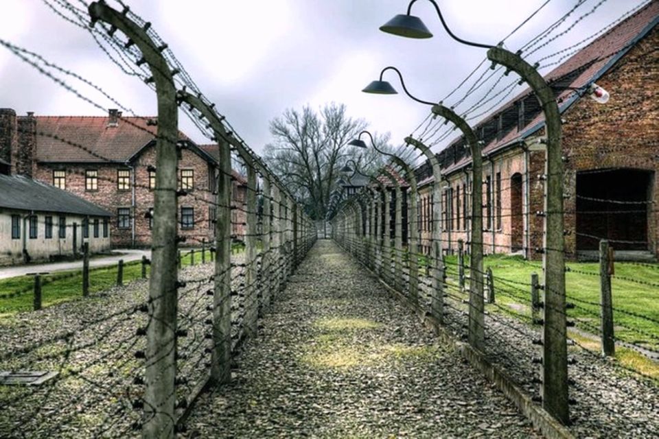 From Krakow: Guided Auschwitz-Birkenau Group Tour by Minivan - Itinerary and Experience