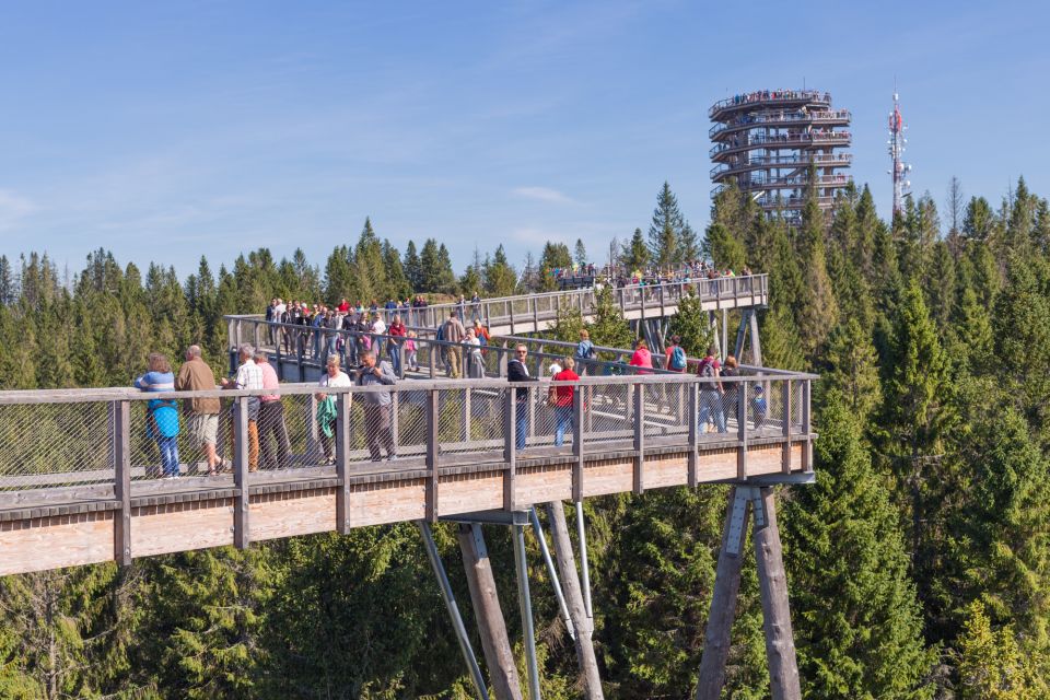 From Krakow: Slovakia Treetop Walk Bachledka Private Tour - Pricing and Logistics