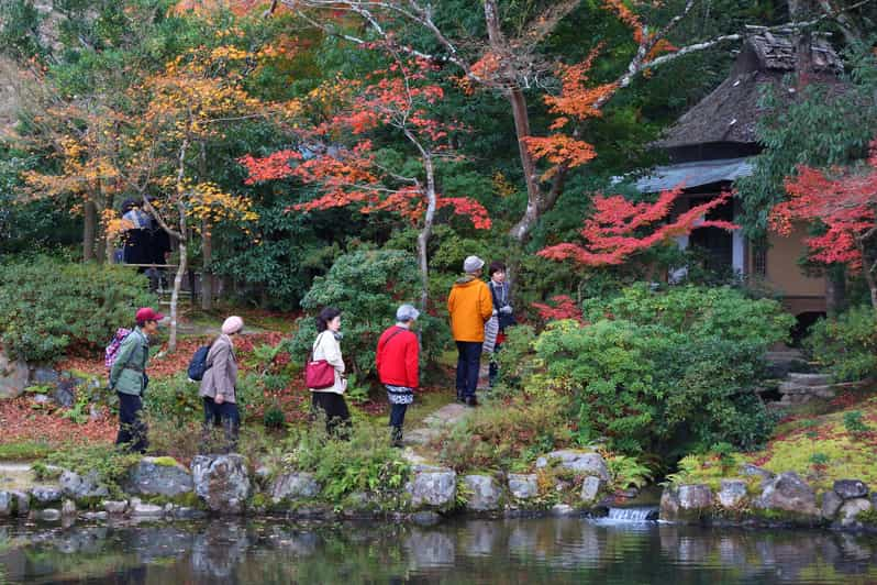 From Kyoto or Osaka: Private Walking Tour Through Nara - Experience Highlights