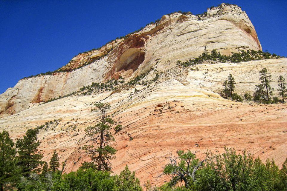 From Las Vegas: VIP Small-Group Zion National Park Adventure - Geology and Geography