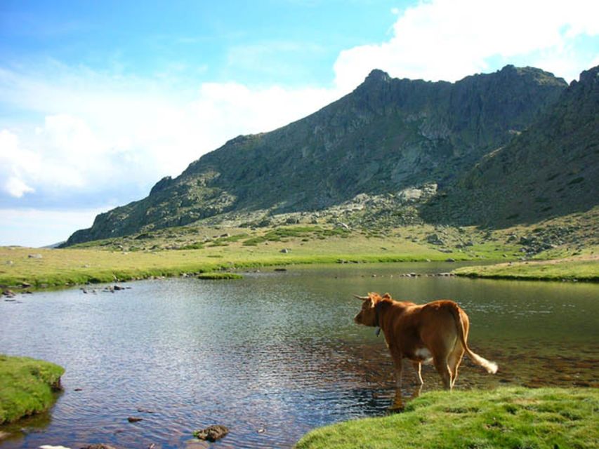 From Madrid: Day Trip to Guadarrama National Park - Itinerary and Highlights