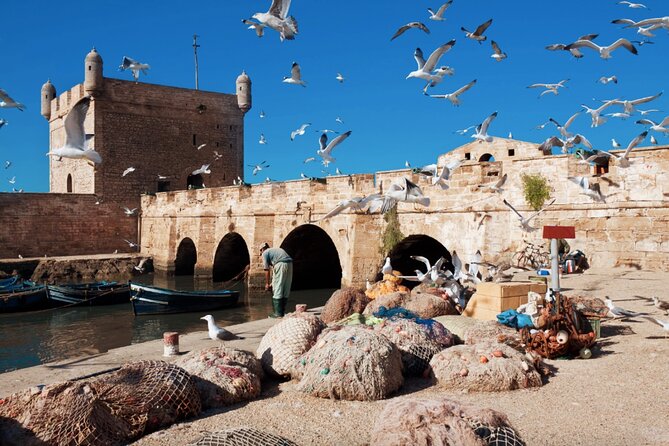 From Marrakech: Day Journey to Essaouira to Mogador - Meeting and Pickup