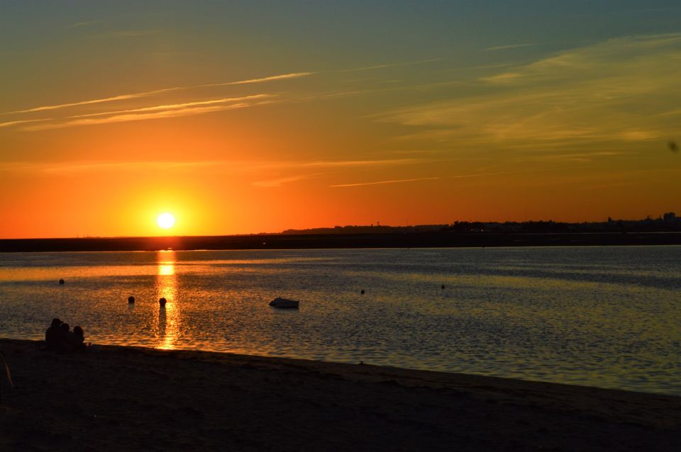 From Olhão: Ria Formosa Sunset Tour - Exploring Armona Island