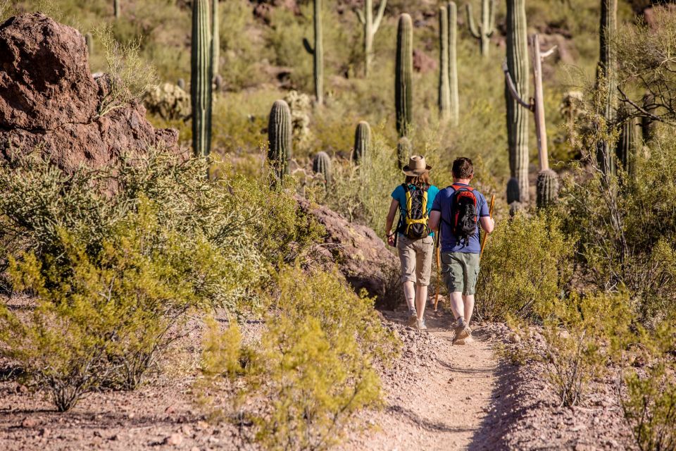 From Phoenix: Gold Rush Guided Hiking and Gold Panning Tour - Activity Highlights