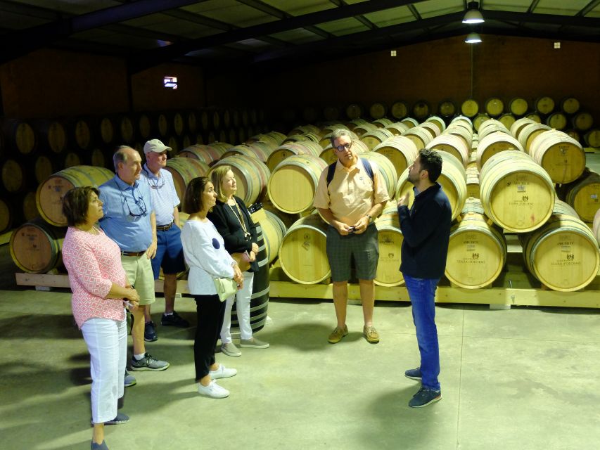 From Porto: Douro Region Private Food and Wine Day Tour - Highlights of the Tour