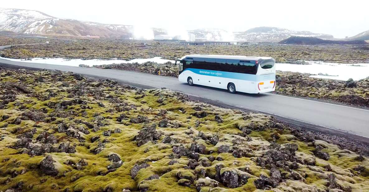 From Reykjavik or Keflavik: Blue Lagoon Transport - Transfer Details