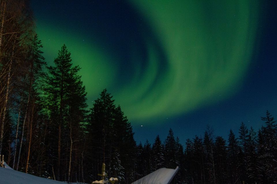 From Rovaniemi: Northern Lights Experience With Campfire - Key Highlights