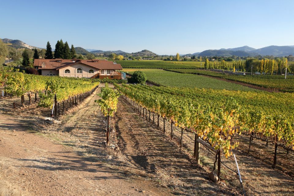 From San Francisco: Napa Valley Private Tour - Customizable Itinerary