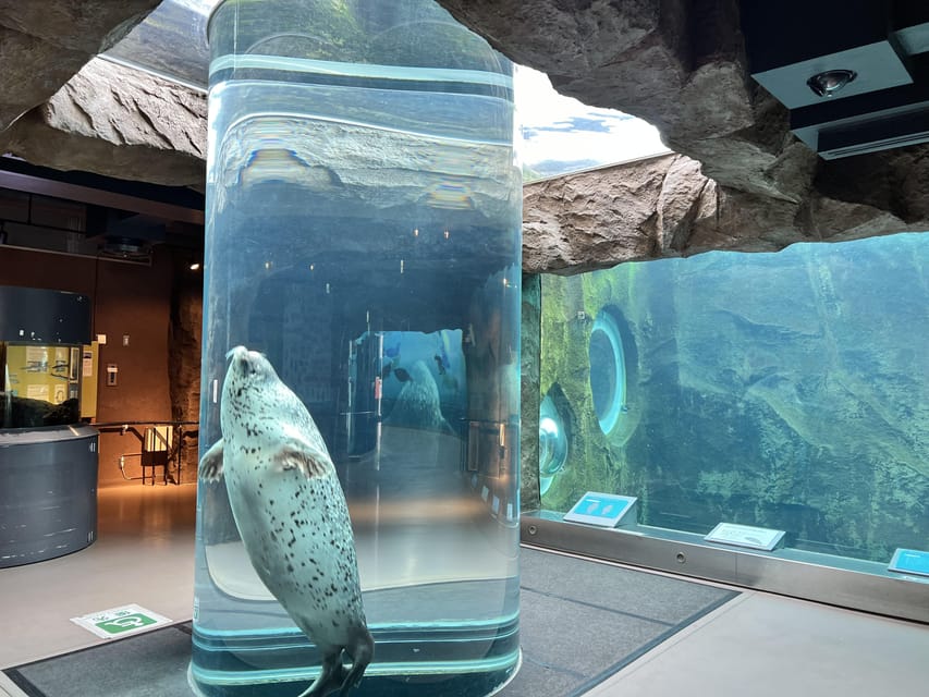 From Sapporo: Famous Asahiyama Zoo Review - Itinerary Highlights