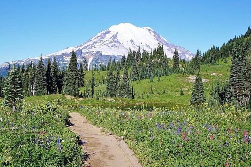 From Seattle: Full-Day Mt Rainier National Park Tour - Guided Tour Highlights