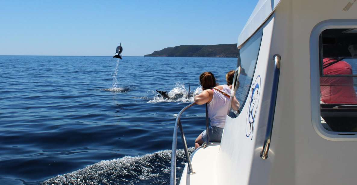 From Sesimbra: Arrábida Dolphin Watching Boat Tour - Itinerary and Activities