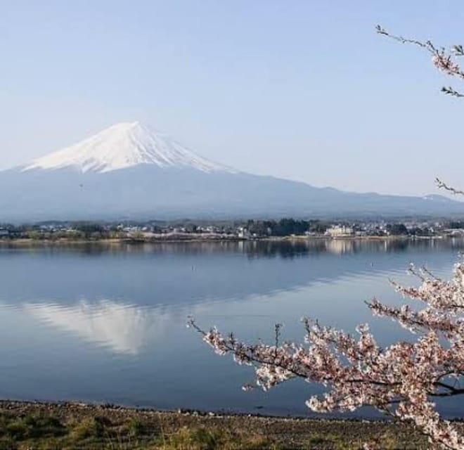 From Tokyo: Mount Fuji Day Trip - Itinerary Highlights