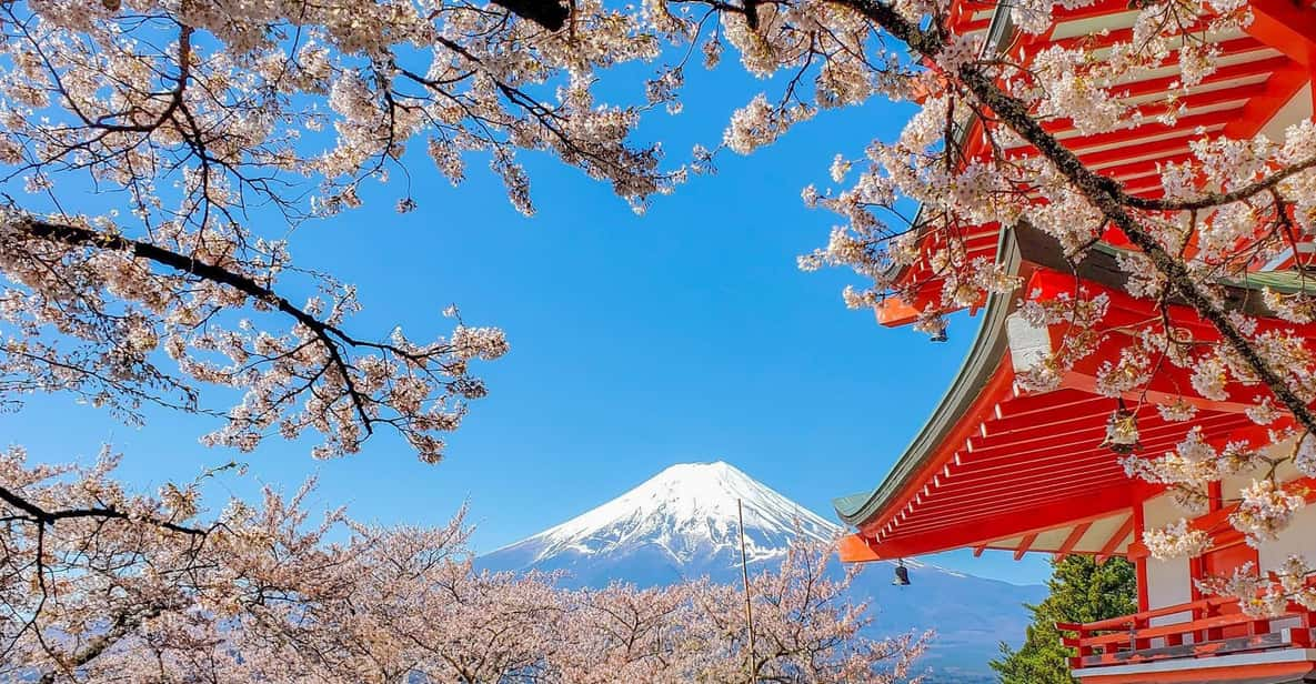 From Tokyo: Mt Fuji and Lake Kawaguchiko Private Day Trip - Itinerary Highlights