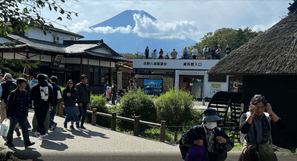 From Tokyo: Mt. Fuji or Hakone Sightseeing Private Day Tour - Booking and Payment Options