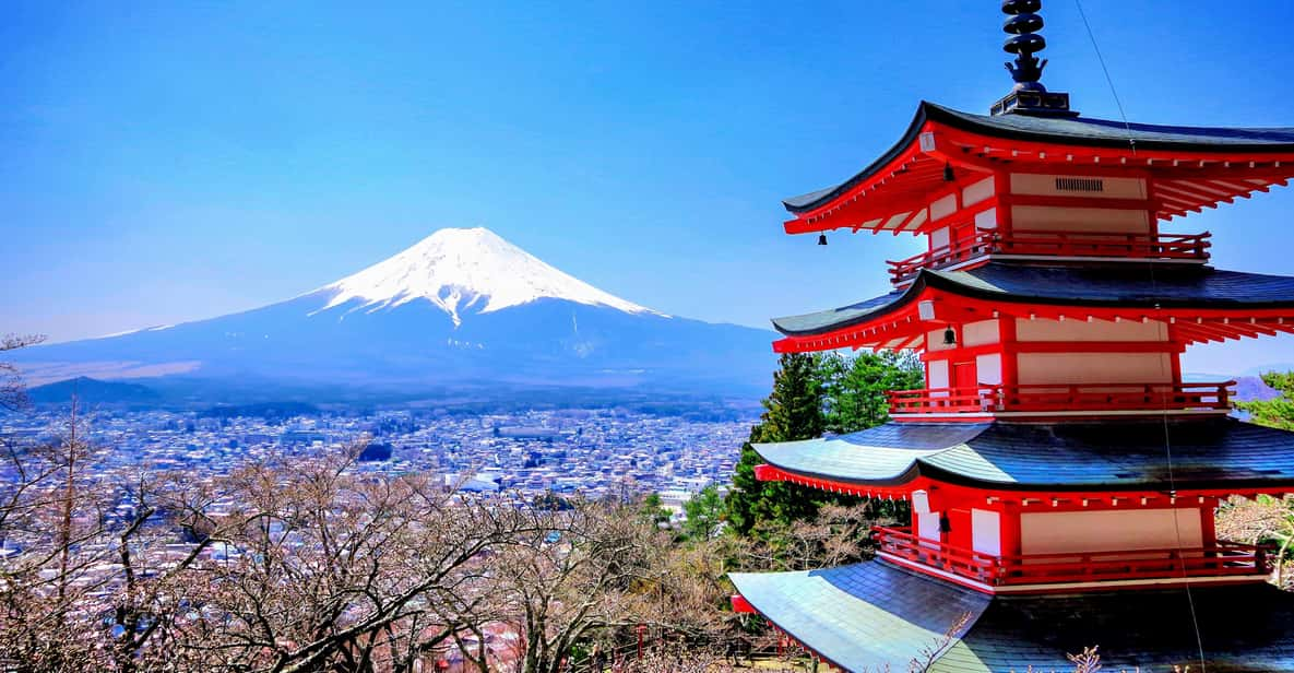 From Tokyo/Yokohama: Private Day Trip to Mt Fuji and Hakone - Pricing and Duration