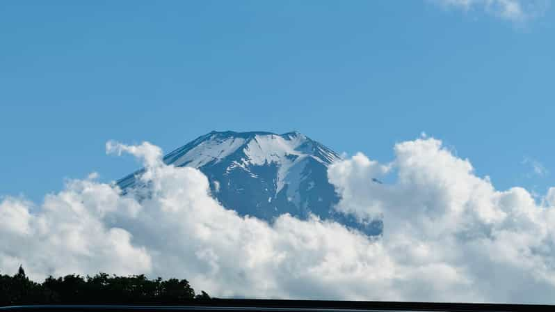 From Tokyo/ Yokohama: Private Day Trip To Mt. Fuji/Hakone - Itinerary Highlights