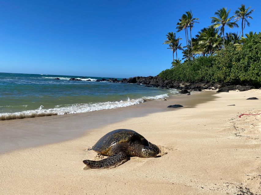 Full Day Best of Oahu Sightseeing Tour - Itinerary and Highlights