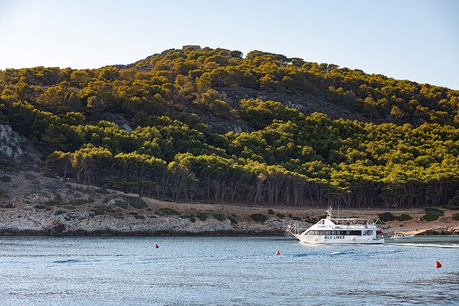 Full Day Boat Tour to the Egadi Islands - Accessibility and Transportation